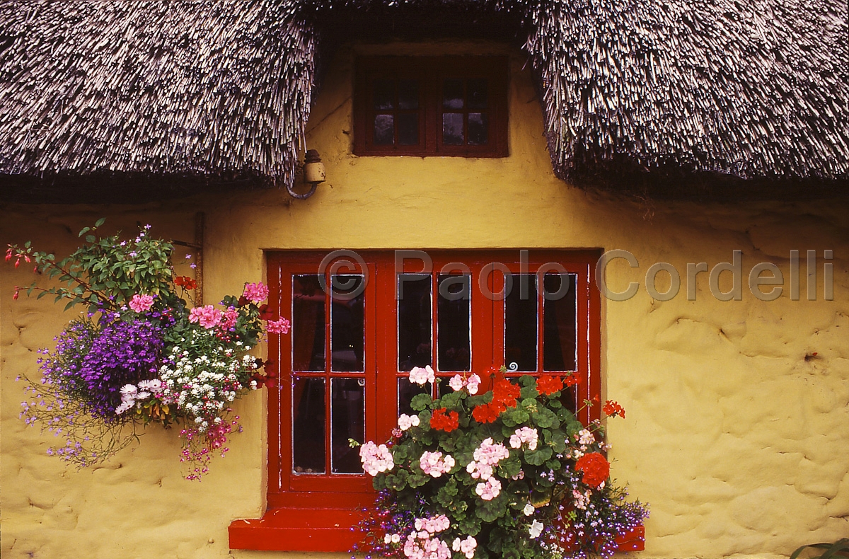 Thatched Roof Cottage, Adare, County Limerick, Ireland
(cod:Ireland 04)